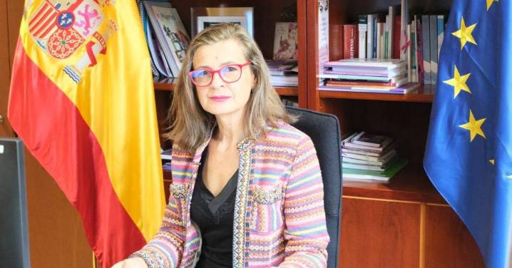 La delegada contra la Violencia de Género comparecerá el jueves en el Congreso