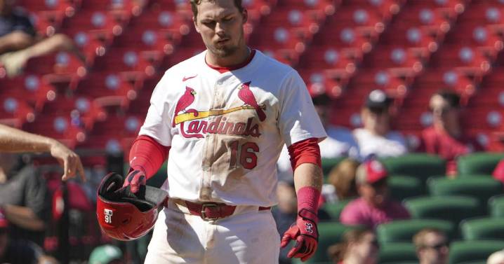 Spencer Steer homers as the Reds beat the Cardinals 6