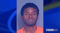 Foley man sentenced after leading police on chase in stolen car
