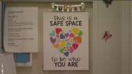 Answering 160 calls a day: Illinois’ battle against domestic violence