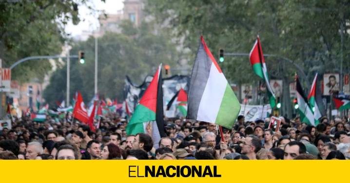 6.500 manifestantes pro Palestina exigen en Barcelona que se pare el "genocidio" en Gaza