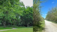 Three Lincoln park, trailhead parking lots set to close for gravel resurfacing