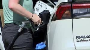 National gas prices drop while South Carolina sees a slight rise amid storm preparations