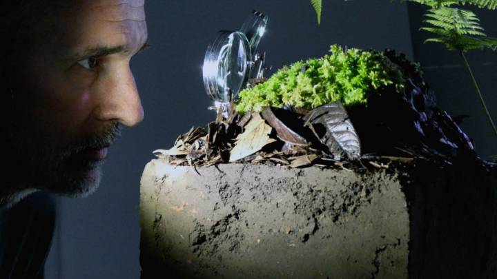 Medellín será epicentro de arte, ciencia y tecnología con el Festival Internacional Fotosíntesis 2025