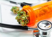 ¿La mata que alivia? Un extracto de cannabis mitigaría los dolores lumbares crónicos