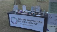 Local Resources Shared at Wisner Park in Elmira for World Suicide Prevention Day