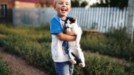 Convivir con gatos mejora la vida de los niños: descubre todos sus beneficios