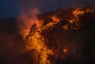Watch as California 'Bombarded' by Lightning Strikes Amid Wildfire Outbreak