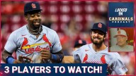 This Outfielder's Success Story IGNITES Hope for Struggling Cardinals Prospect Jordan Walker