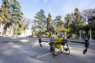 Capital utilizará drones para eliminar una plaga que hay en las tipas y causa molestias en los mendocinos