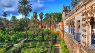 Reabren los Jardines del Real Alcázar tras el cierre por gripe aviar