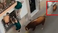 Muere hombre tras ser brutalmente corneado por un toro en pleno festejo tradicional (VIDEO FUERTE)