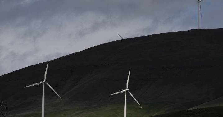 Energy Dept. tells employees not to use words including 'climate change' and 'green'
