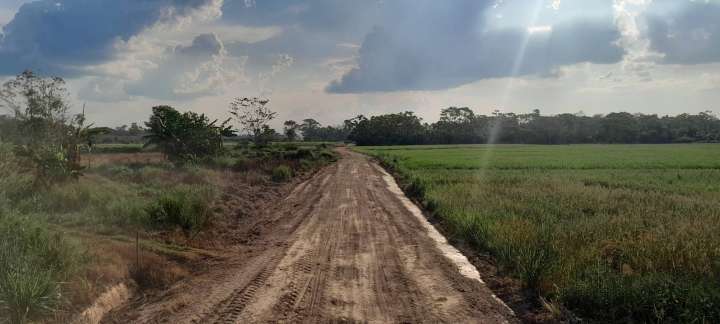 Alto Amazonas ¡despierta!