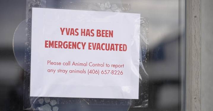 RiverStone says it was unaware meth was being burned at shelter incinerator