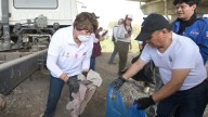 Ecatepec rompe récord por mayor cantidad de personas recogiendo basura