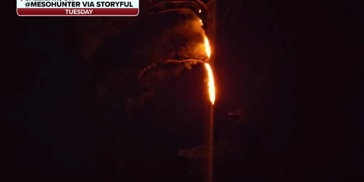 Tree set ablaze after lightning strike during Oklahoma thunderstorms