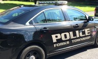 Forks Township crash: Driver hospitalized after vehicle ends up in woods, chief says