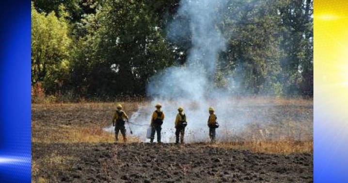 Prescribed burn planned at Herbert Farm to restore habitats