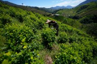 Obstáculos para alcanzar la paz en el Cañón del Micay