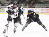 Max Skinner off to hot start with Chatham Maroons