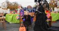 Get into the Halloween spirit for Chicago 2025 with the best festivals & zoo fun