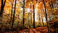 Temperatures may set records on Sept. 18 in southeast Michigan. Here's where
