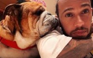 Lewis Hamilton se despide de su perro Roscoe: “Tuve que tomar la decisión más difícil de mi vida”