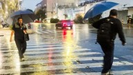 Lluvias del 3 de septiembre: 44 encharcamientos y 34 árboles caídos en CDMX