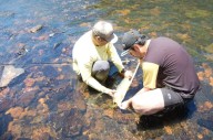 Los peces de los arroyos de la Reserva de Biósfera Yabotí reunidos en un libro
