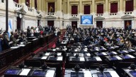 Diputados: comenzó la votación por los vetos de Milei