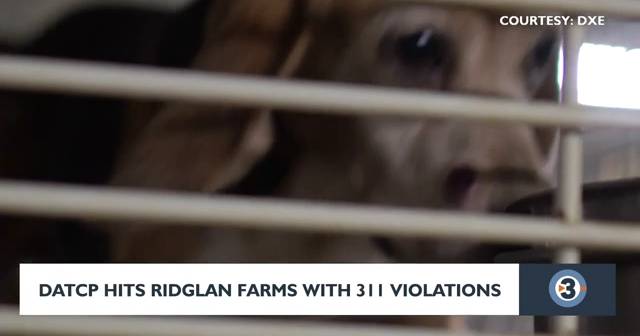 Ridglan Farms responds to 311 DATCP violations, proposed civil forfeiture