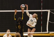 Volleyball: Kaitlyn Wilson powers Lemont past Richards