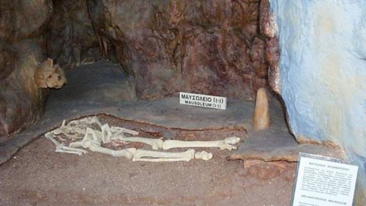 Prehistoric Skull Found Fused to Cave Wall May Have Belonged to Mysterious Ancient Hominid