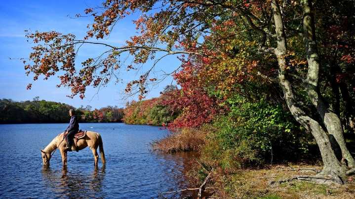 Explore Long Island's fall foliage on a bike, kayak or on horseback