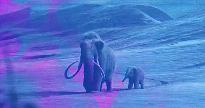 Dallas biotech firm works to revive extinct species