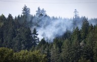 Army identifies 4 soldiers who died in Black Hawk crash near JBLM
