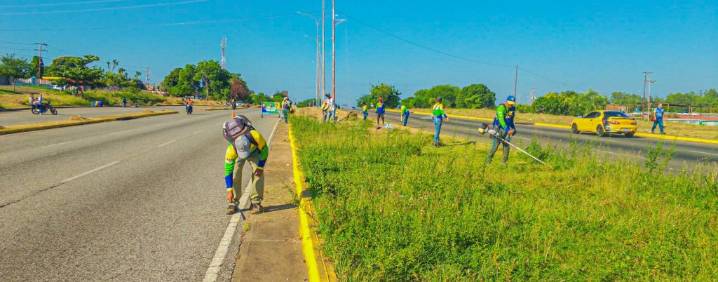 Ejecutan embellecimiento integral de la avenida Libertador