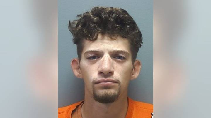 Waleska man sentenced to 15 years for violent attack on girlfriend