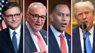 Johnson questions if Schumer, Jeffries, Trump meeting ‘necessary’ to avoid shutdown 