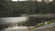 Louisville residents sound off about what they'd like to see at Jefferson Memorial Forest