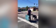 Colorado Springs firefighters watch over dog after parents taken to hospital