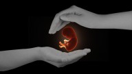 Karnataka health department busts cross-border foeticide racket in Andhra Pradesh
