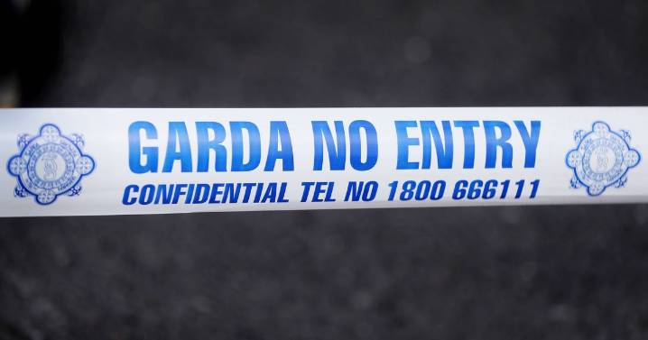 Murder-suicide probe launched after man and young child found dead at house