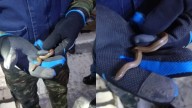 Personal del Metro rescata una serpiente en la Línea B