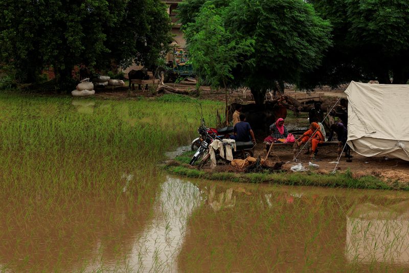 Punjab floods washed away thousands of villages and farms; now the devastation threatens Pakistan's economy
