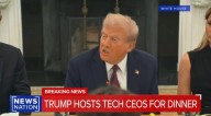 Trump Praises RFK Jr. After Tumultuous Performance Before Senate