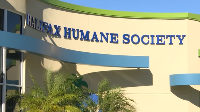 Volusia County considers raising animal service fees as shelter transition looms
