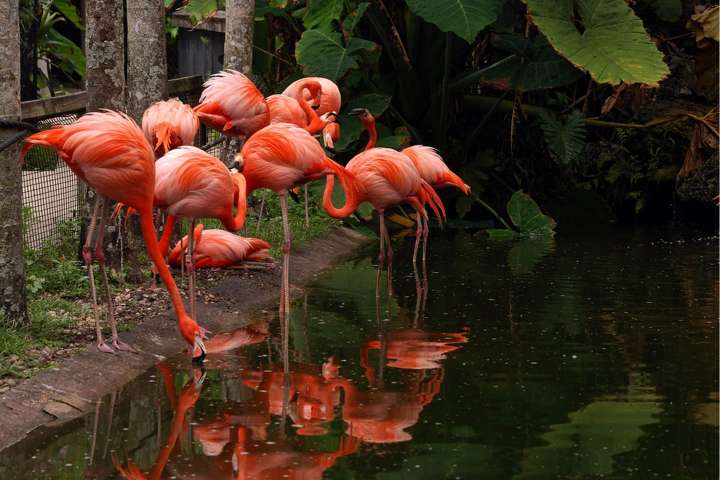 Best festivals & entertainment in September in Broward