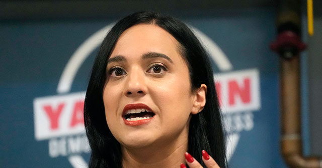 Democrat Arizona Rep. Yassamin Ansari Calls Illegals Her 'Constituents'